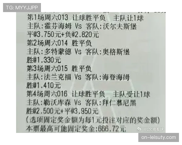 四月赛程对欧冠资格争夺的影响：霍芬海姆勒沃库森直接对话